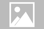 Scout新星问鼎冠军表现惊艳，老鹰未来可期！