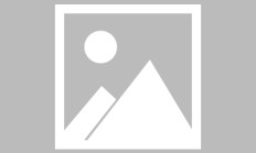  Scout新星问鼎冠军表现惊艳，老鹰未来可期！